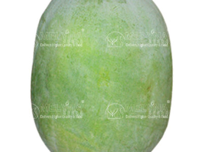 MELYNA AISHWARYA 1344