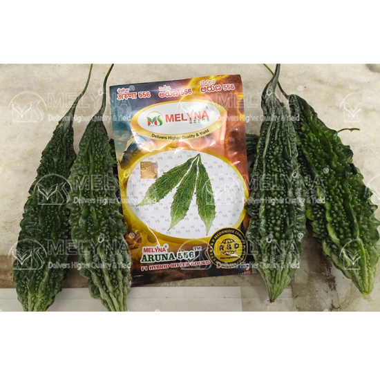 MELYNA ARUNA 556 slider image 2