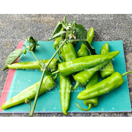 MELYNA BAJJI 130 slider image 6