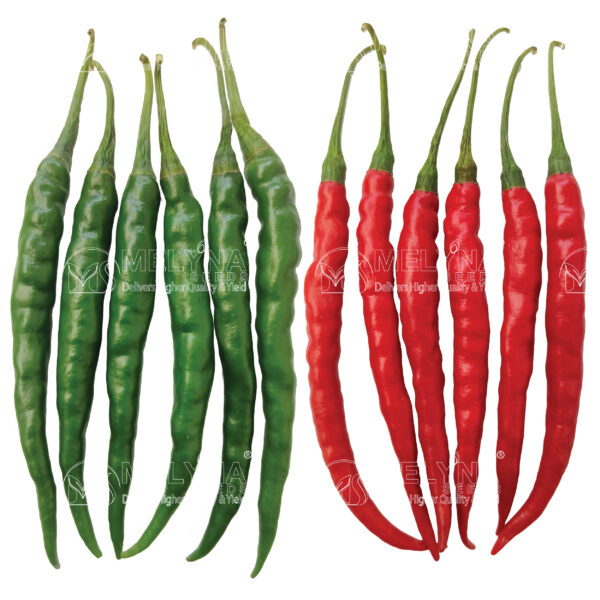 MELYNA BHOOMI 187 slider image 1