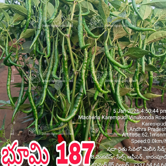 MELYNA BHOOMI 187 slider image 2