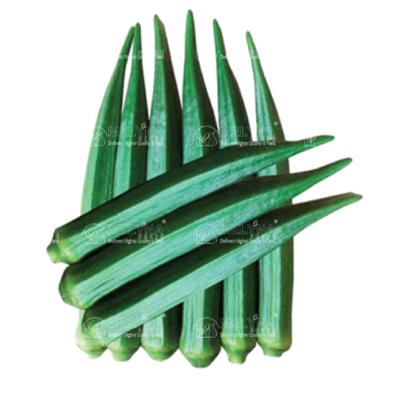 MELYNA BINDU 338 slider image 1