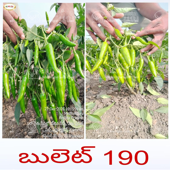 MELYNA BULLET 190 slider image 3