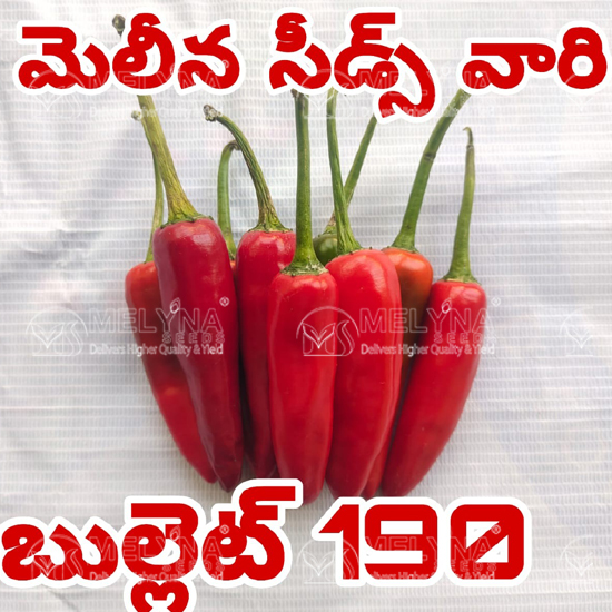 MELYNA BULLET 190 slider image 1