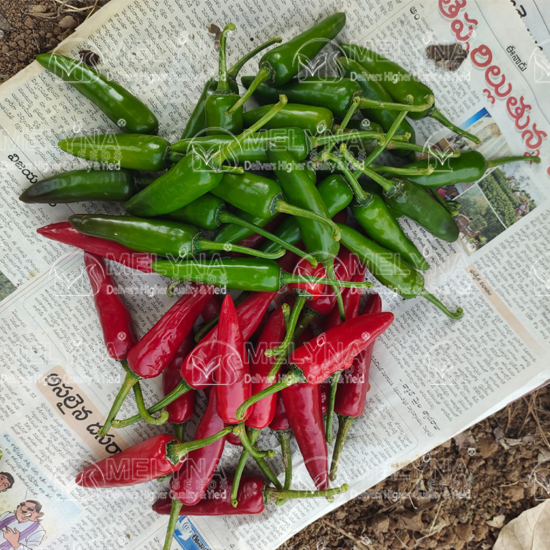 MELYNA BULLET 190 slider image 4