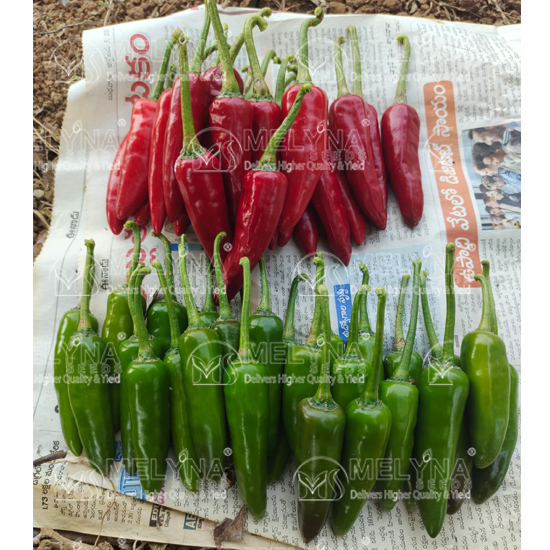 MELYNA BULLET 190 slider image 5