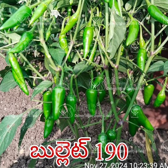 MELYNA BULLET 190 slider image 6