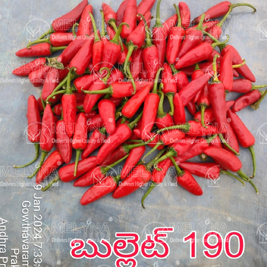 MELYNA BULLET 190 slider image 7