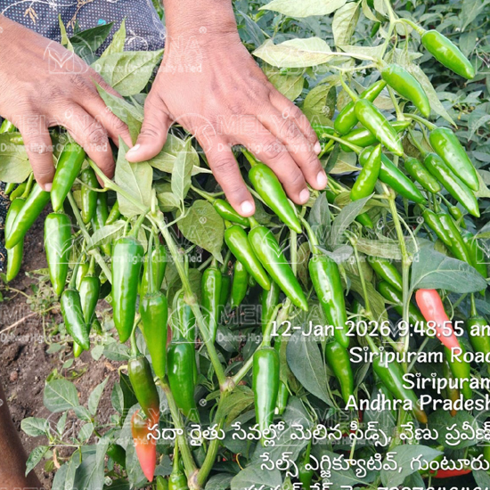 MELYNA BULLET 190 slider image 8