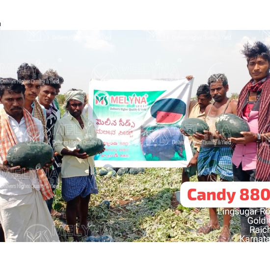 MELYNA SIRI 810 slider image 9