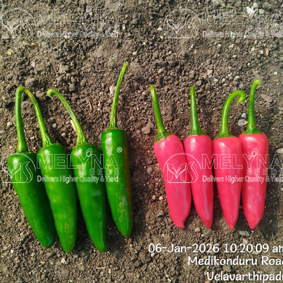 MELYNA BULLET 190 slider image 2