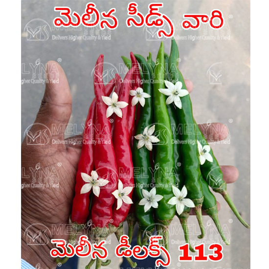 MELYNA DELUXE 113 slider image 1