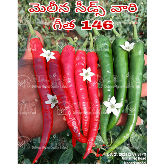 MELYNA GEETHA 146 slider image 1