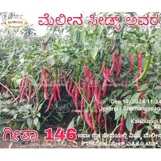 MELYNA GEETHA 146 slider image 3