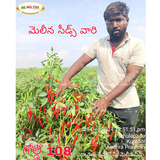 MELYNA GOLD 108 slider image 3