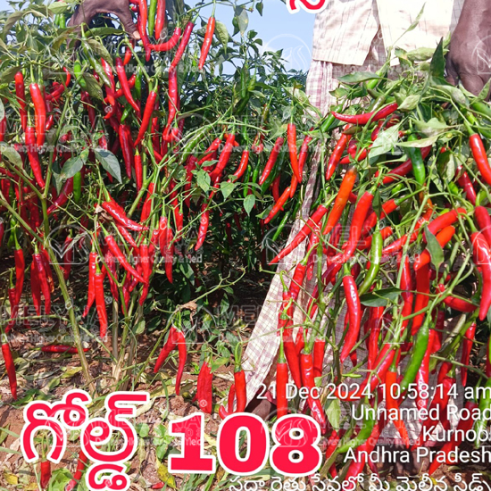 MELYNA GOLD 108 slider image 2