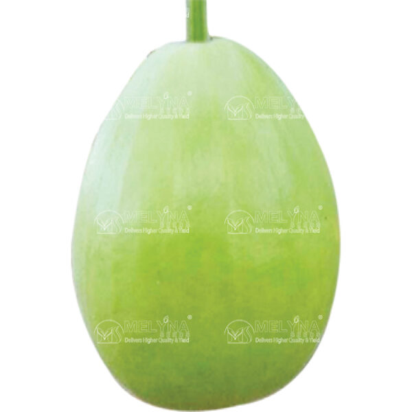 MELYNA HAMPI 447 slider image 1