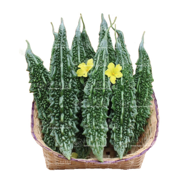 MELYNA HARIKA 558 slider image 1