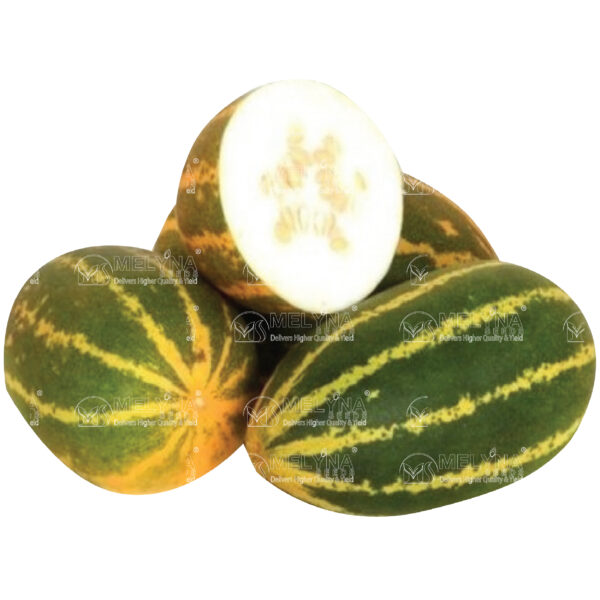 MELYNA HASINI 778 slider image 1