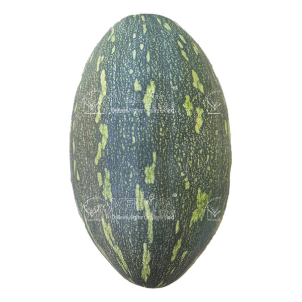 MELYNA HEMA 1411 slider image 1