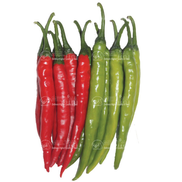 MELYNA JAYA 109 slider image 1