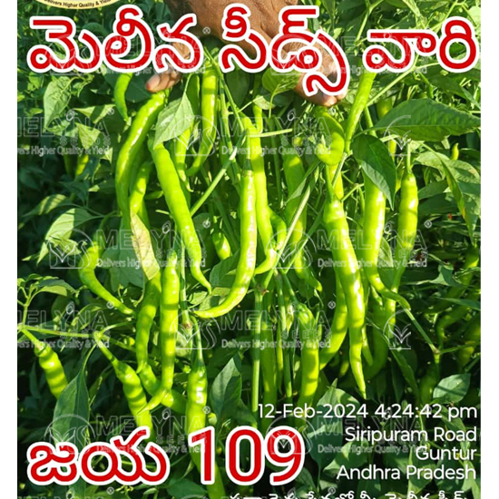 MELYNA JAYA 109 slider image 8