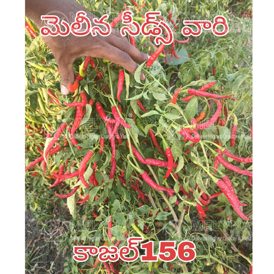 MELYNA KAJAL 156 slider image 1