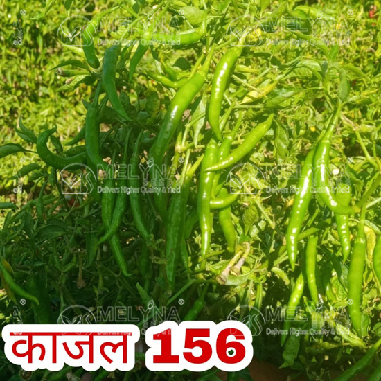 MELYNA KAJAL 156 slider image 4