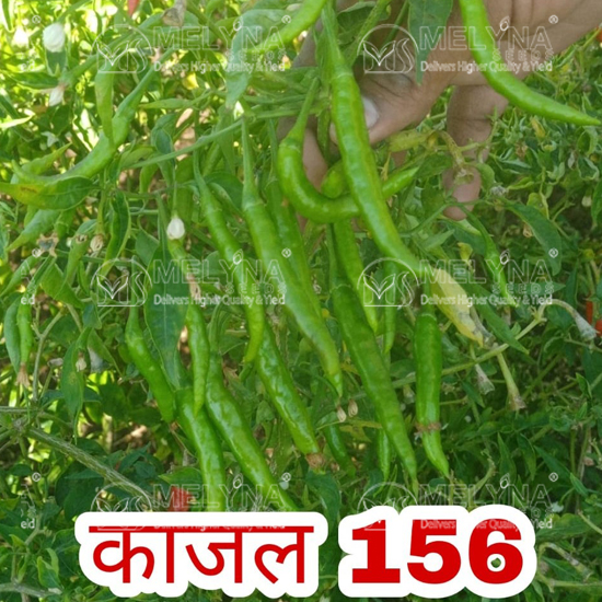 MELYNA KAJAL 156 slider image 5