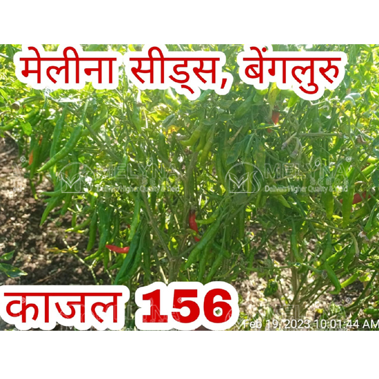 MELYNA KAJAL 156 slider image 7