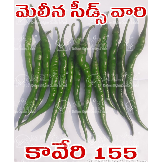 MELYNA KAVERI 155 slider image 1