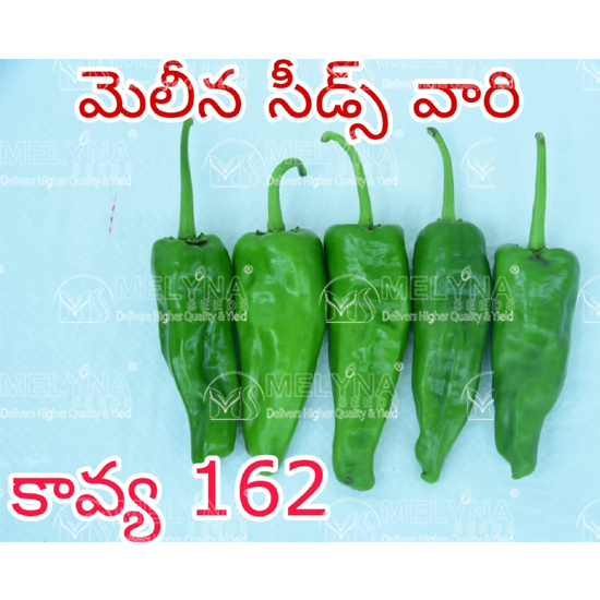 MELYNA KAVYA 162 slider image 1