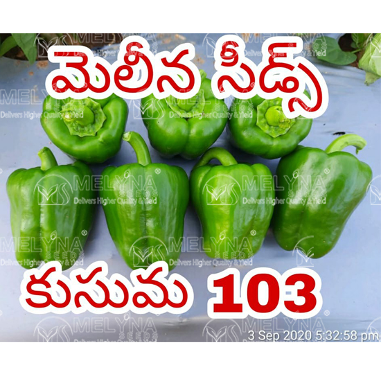 MELYNA KUSUMA 103 slider image 3