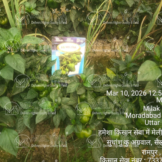 MELYNA KUSUMA 103 slider image 6