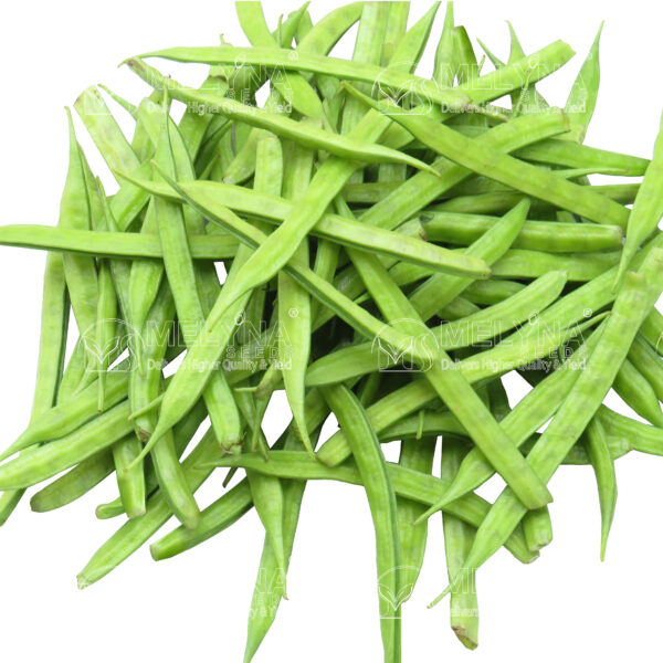 MELYNA GOWRI 2525 slider image 1