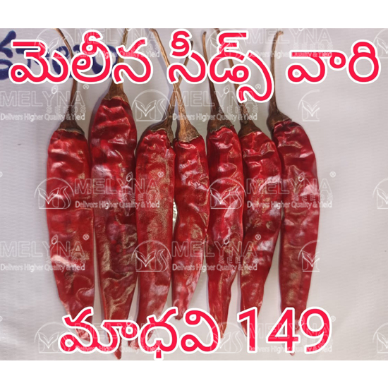 MELYNA MADHAVI 149 slider image 8