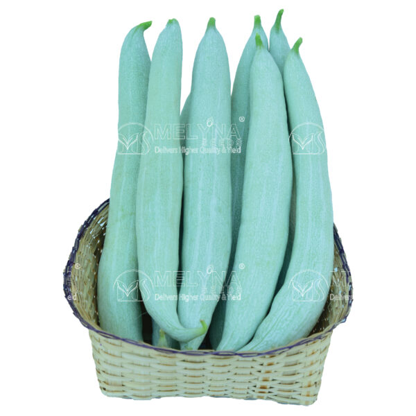 MELYNA NAGINI 680 slider image 1