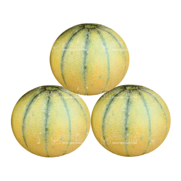 MELYNA NIRMALA 924 slider image 1