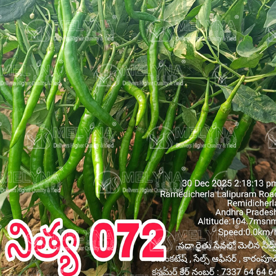 MELYNA NITHYA 072 slider image 1