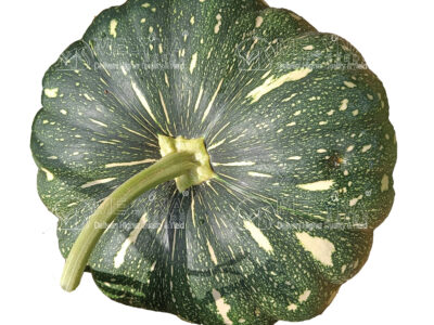 MELYNA PANCHALI 1450