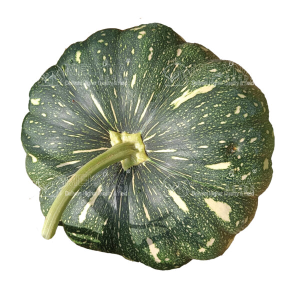 MELYNA PANCHALI 1450 slider image 1