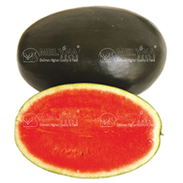 MELYNA PAVANI 889 slider image 1