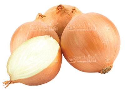 MELYNA POORNIMA 1033