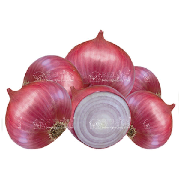 MELYNA PREETHI 1078 slider image 1