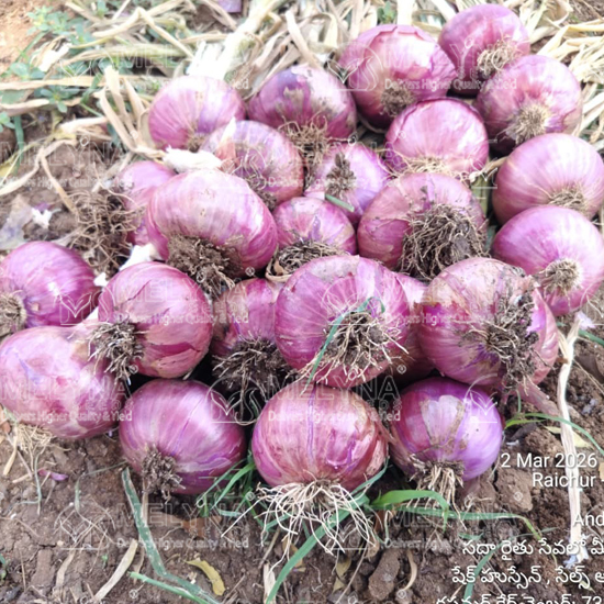 MELYNA PREETHI 1078 slider image 4