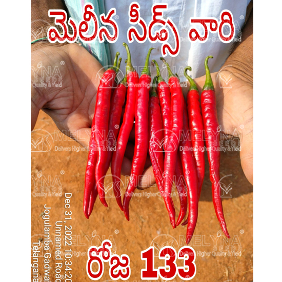 MELYNA ROJA 133 slider image 1