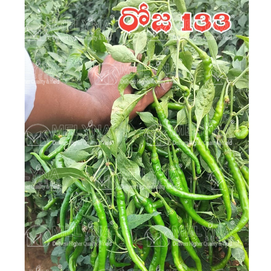 MELYNA ROJA 133 slider image 2