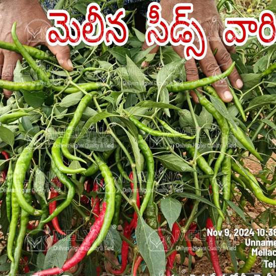 MELYNA ROJA 133 slider image 5