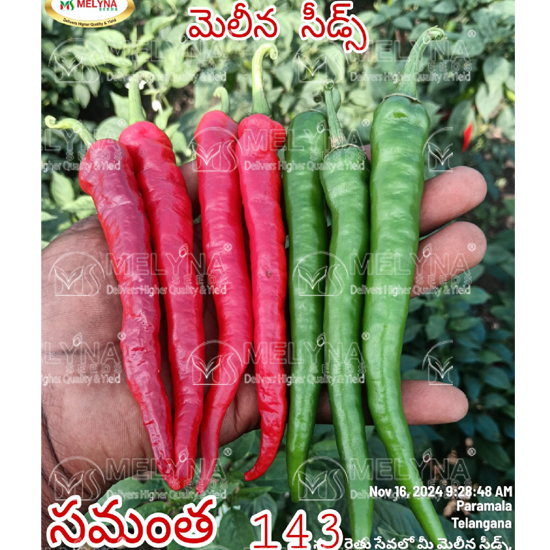 MELYNA SAMANTHA 143 slider image 7