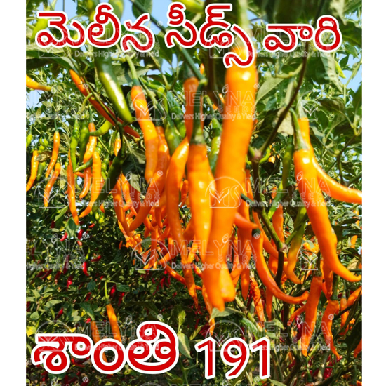 MELYNA SANTHI 191 slider image 1